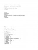 Modelos análogos del paisaje