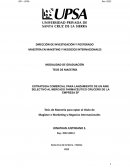 Estrategia comercial para lanzamiento de un Aine en el mercado cruceño