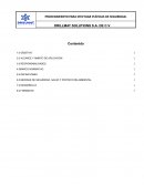 Procedimiento para efectuar pláticas de seguridad. Drillmat Solutions S.A. de C.V