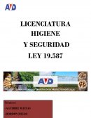 Ley 19587/79 Higiene y Seguridad laboral