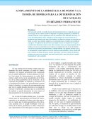 Acoplamiento de la hidráulica de pozos y la teoría de bombas para la determinación de caudales en régimen permanente