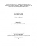 Planeación estratégica de sistema de información para la gestión de la cosecha de maíz