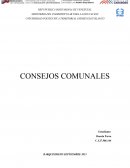 Consejos comunales