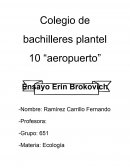 Ensayo de pelicula Erin Brokovich