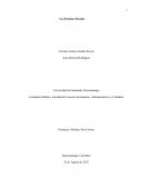 Los Paraisos Fiscales