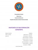 Anatomía de malformación congénita