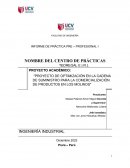 Proyecto de optimización en la cadena de suministro para la comercialización de productos en Los Molinos