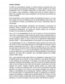 Cambio climático. Naciones Unidas