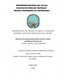 Régimen especial del impuesto a la renta y los servicios contables y legales