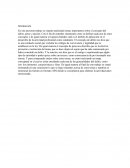 Actividad de derecho penal