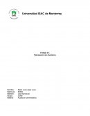 Planeación de auditoria