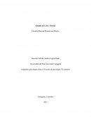 Asignatura psicología clínica I, Escuela de psicología, VI semestre