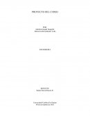 Bioestadistica. La morbilidad en Colombia en el mes de enero durante los años 2021-2023