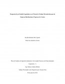 Plan de Estudios de Ingeniería Industrial, Universidad Francisco de Paula Santander