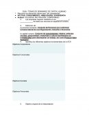 Guia / temas de seminario de capital humano