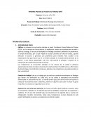 Informe análisis de puesto de trabajo (APT) : Movilizador Bodega Zona Extensión