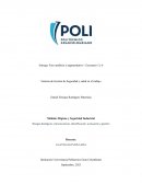 Riesgos biológicos y biomecánicos, identificación, evaluación y gestión