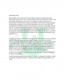 Informe práctica microscopio