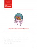 Recepción y almacenamiento de insumos. Gebrurois