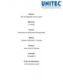 Derecho Diplomático Y Consular