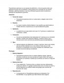 Pseudobiceros gloriosus