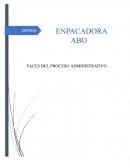 Faces del proceso administrativo