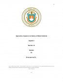 Agricultura: Impacto en la Salud y el Medio Ambiente