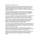 Participación en su sector económico