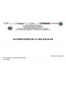 Autoreflexión de la vida escolar