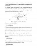 Deformaciones en la capa de rodadura