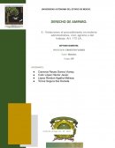 Violaciones al procedimiento en materia administrativa