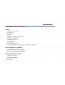 Tipo de riesgo: accidente de transito