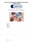 Insalubridad en restaurantes de Villa El Salvador