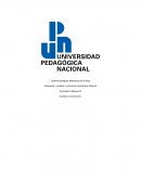 Educación, cerebro y cultura en la primera infancia