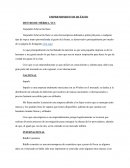 Emprendimientos de éxito dentro de Mérida, YUC