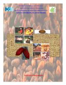 Procesamiento Post-Cosecha del Cacao