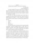 La recreación comercial adaptada en Venezuela