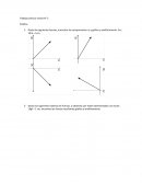 Trabajo práctico virtual N° 5 Estática
