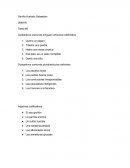 Sustantivos comunes singular/ artículos indefinidos