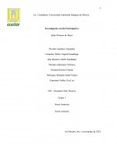 Informe de Diagnóstico Comunitario Ejido Primero de Mayo