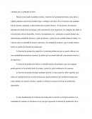 Teoria de la producción