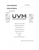 Mujeres migrantes en México: una etnografía de su ruta llena de violencia, vulnerabilidad y estrategias hacia el sueño americano