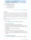 Desarrollo del Caso práctico 1: Toy World, Inc