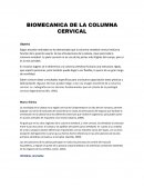 Biomecánica de la columna cervical