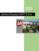 Informe Empresa Watt´s