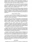 El Bien Común según la filosofia