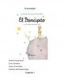 El principito resumen