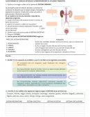 Cuestionario de ciencias naturales