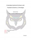 Evolución de las penas y sanciones. Derecho Penal Mexicano