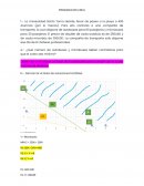 Programación lineal